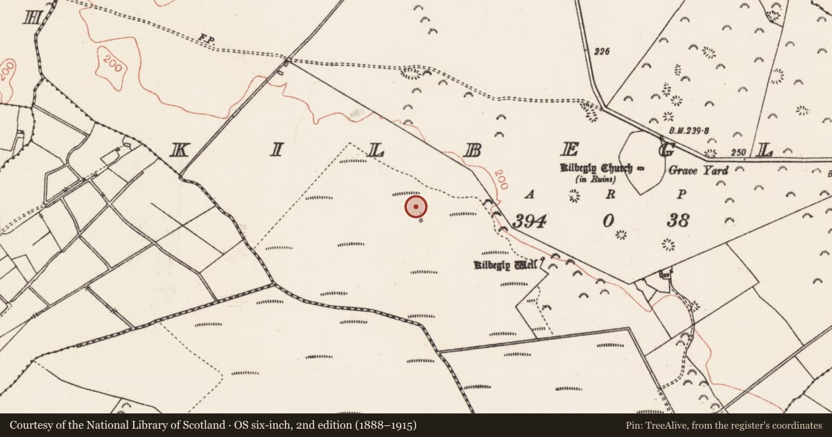 Ordnance Survey six-inch map, 2nd edition (1888–1915) covering the location of Water mill - horizontal-wheeled, Kilbegly, County Roscommon, with a pin at the register's coordinates