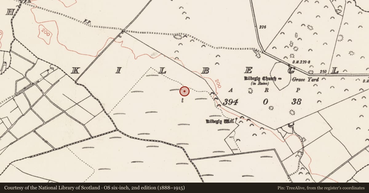 Ordnance Survey six-inch map, 2nd edition (1888–1915) covering the location of Fulacht fia, Kilbegly, County Roscommon, with a pin at the register's coordinates
