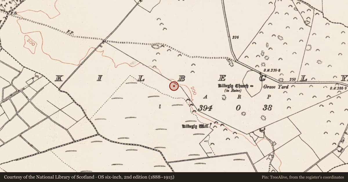 Ordnance Survey six-inch map, 2nd edition (1888–1915) covering the location of Kiln - corn-drying, Kilbegly, County Roscommon, with a pin at the register's coordinates