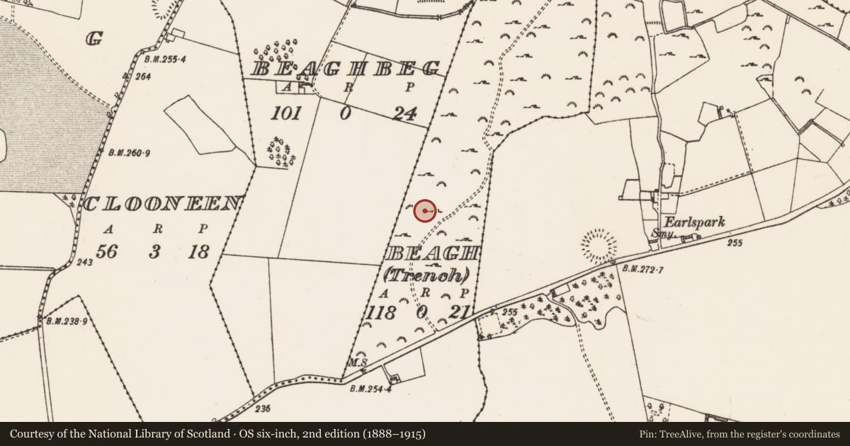 Ordnance Survey six-inch map, 2nd edition (1888–1915) covering the location of Ringfort - rath, Beagh (Trench), County Roscommon, with a pin at the register's coordinates