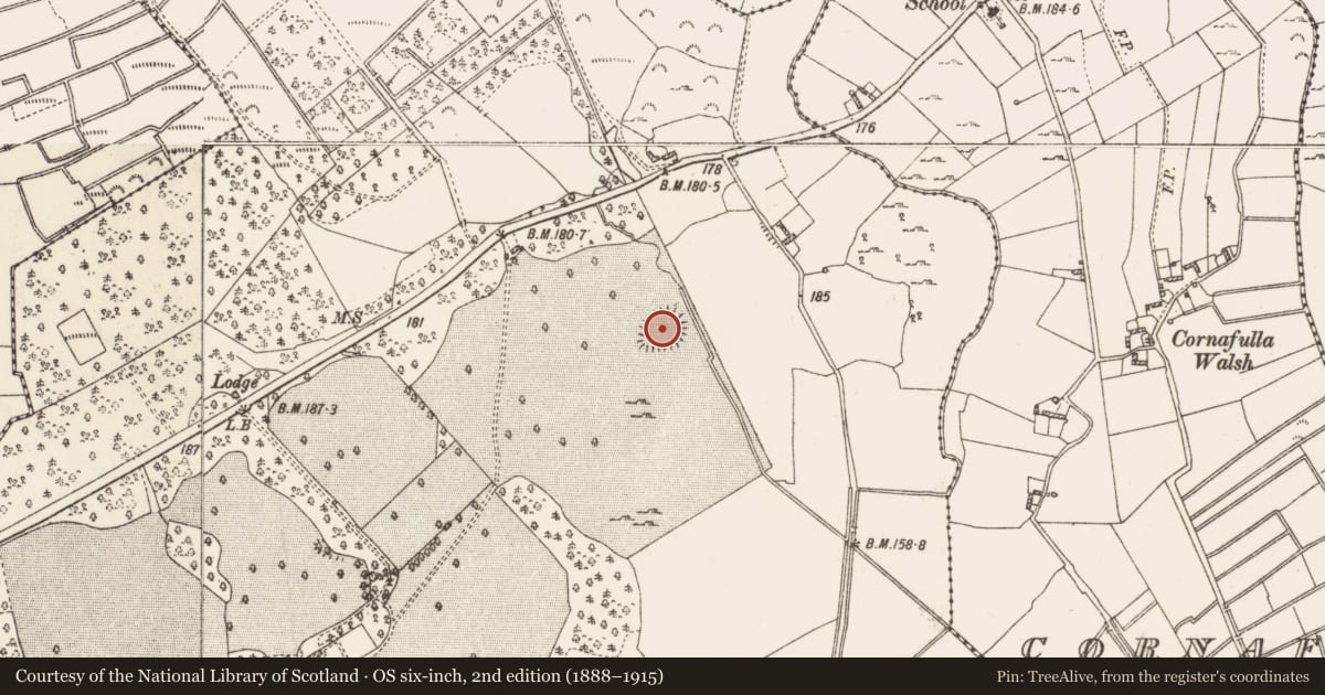 Ordnance Survey six-inch map, 2nd edition (1888–1915) covering the location of Ringfort - rath, Johnstown Demesne, County Roscommon, with a pin at the register's coordinates