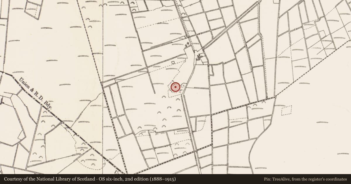 Ordnance Survey six-inch map, 2nd edition (1888–1915) covering the location of Ringfort - rath, Johnstown Demesne, County Roscommon, with a pin at the register's coordinates