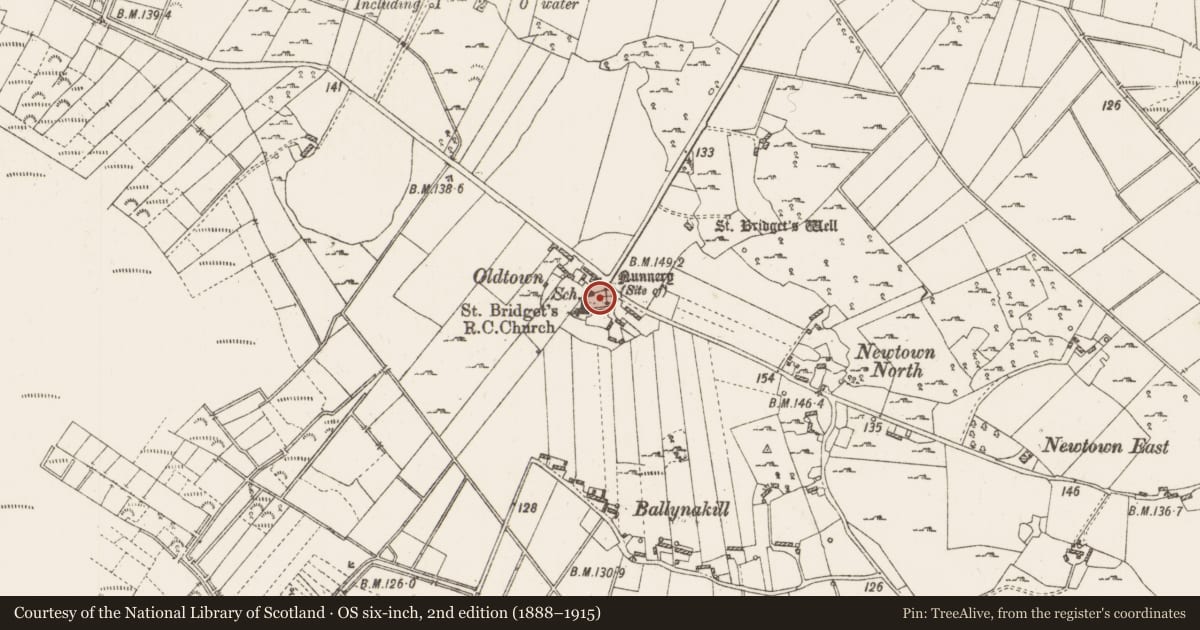 Ordnance Survey six-inch map, 2nd edition (1888–1915) covering the location of Graveyard, Cloonown, County Roscommon, with a pin at the register's coordinates