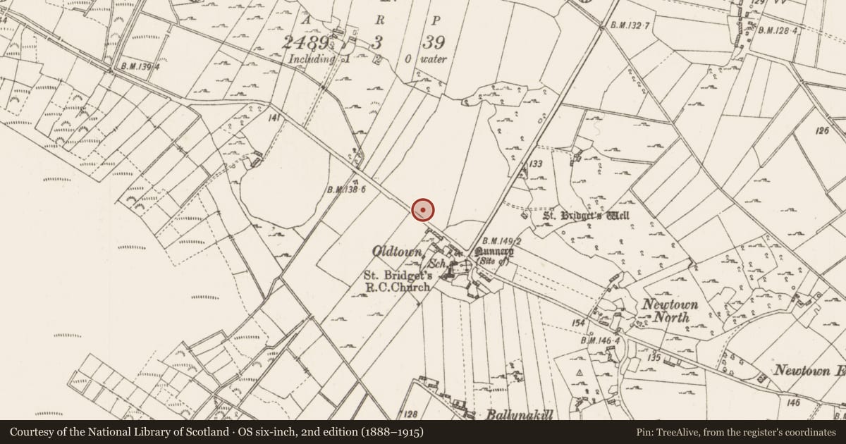 Ordnance Survey six-inch map, 2nd edition (1888–1915) covering the location of Metalworking site, Cloonown, County Roscommon, with a pin at the register's coordinates