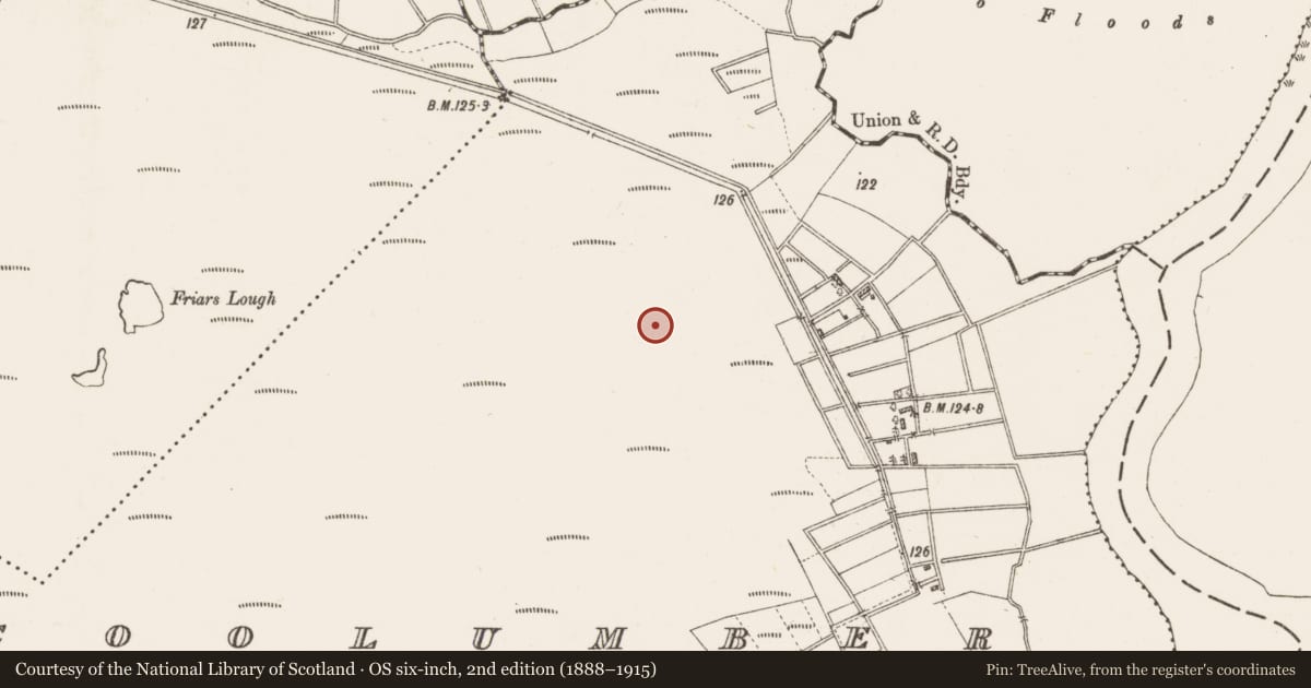Ordnance Survey six-inch map, 2nd edition (1888–1915) covering the location of Road - gravel/stone trackway - peatland, Coolumber, County Roscommon, with a pin at the register's coordinates