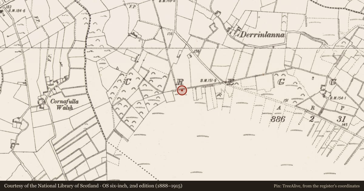Ordnance Survey six-inch map, 2nd edition (1888–1915) covering the location of Structure - peatland, Creggan, County Roscommon, with a pin at the register's coordinates