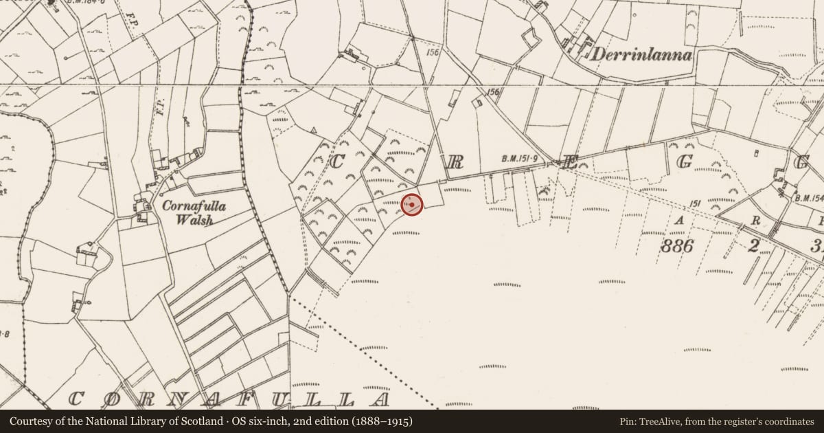 Ordnance Survey six-inch map, 2nd edition (1888–1915) covering the location of Structure - peatland, Creggan, County Roscommon, with a pin at the register's coordinates