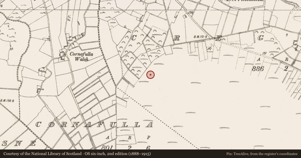 Ordnance Survey six-inch map, 2nd edition (1888–1915) covering the location of Road - unclassified togher, Creggan, County Roscommon, with a pin at the register's coordinates