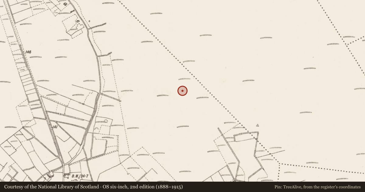 Ordnance Survey six-inch map, 2nd edition (1888–1915) covering the location of Structure - peatland, Drumlosh, County Roscommon, with a pin at the register's coordinates