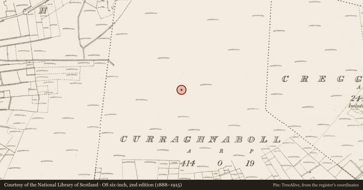 Ordnance Survey six-inch map, 2nd edition (1888–1915) covering the location of Platform - peatland, Curraghnaboll, County Roscommon, with a pin at the register's coordinates