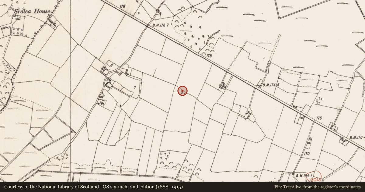 Ordnance Survey six-inch map, 2nd edition (1888–1915) covering the location of Ringfort - rath, Culliaghmore, County Roscommon, with a pin at the register's coordinates