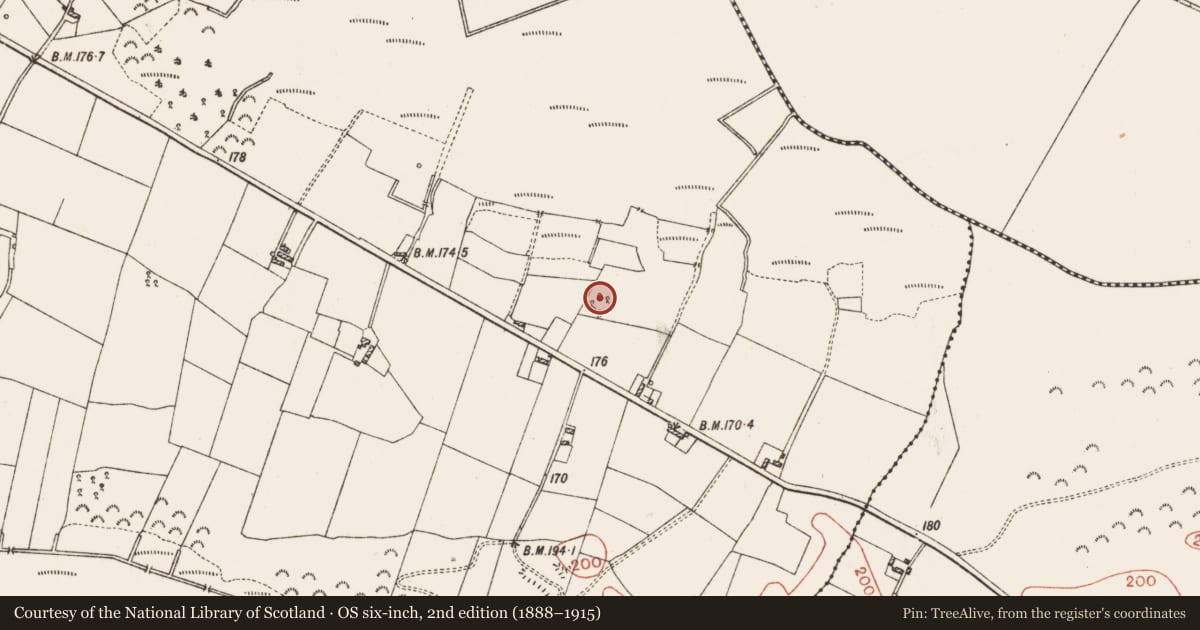 Ordnance Survey six-inch map, 2nd edition (1888–1915) covering the location of Ringfort - rath, Culliaghmore, County Roscommon, with a pin at the register's coordinates