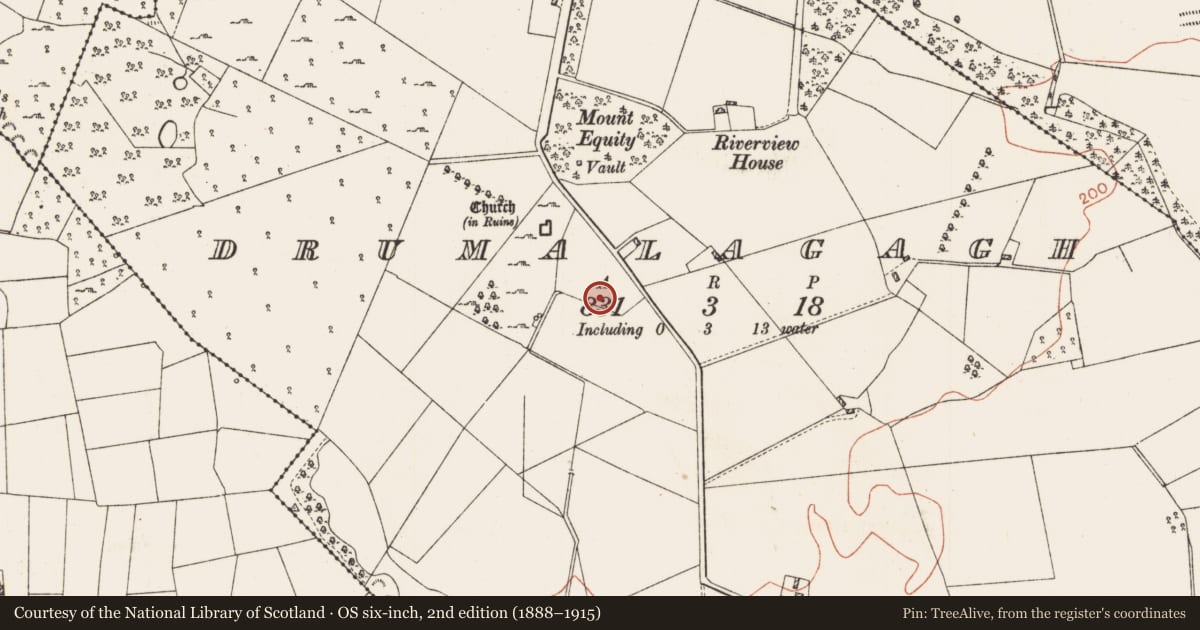 Ordnance Survey six-inch map, 2nd edition (1888–1915) covering the location of Bullaun stone, Drumalagagh, County Roscommon, with a pin at the register's coordinates