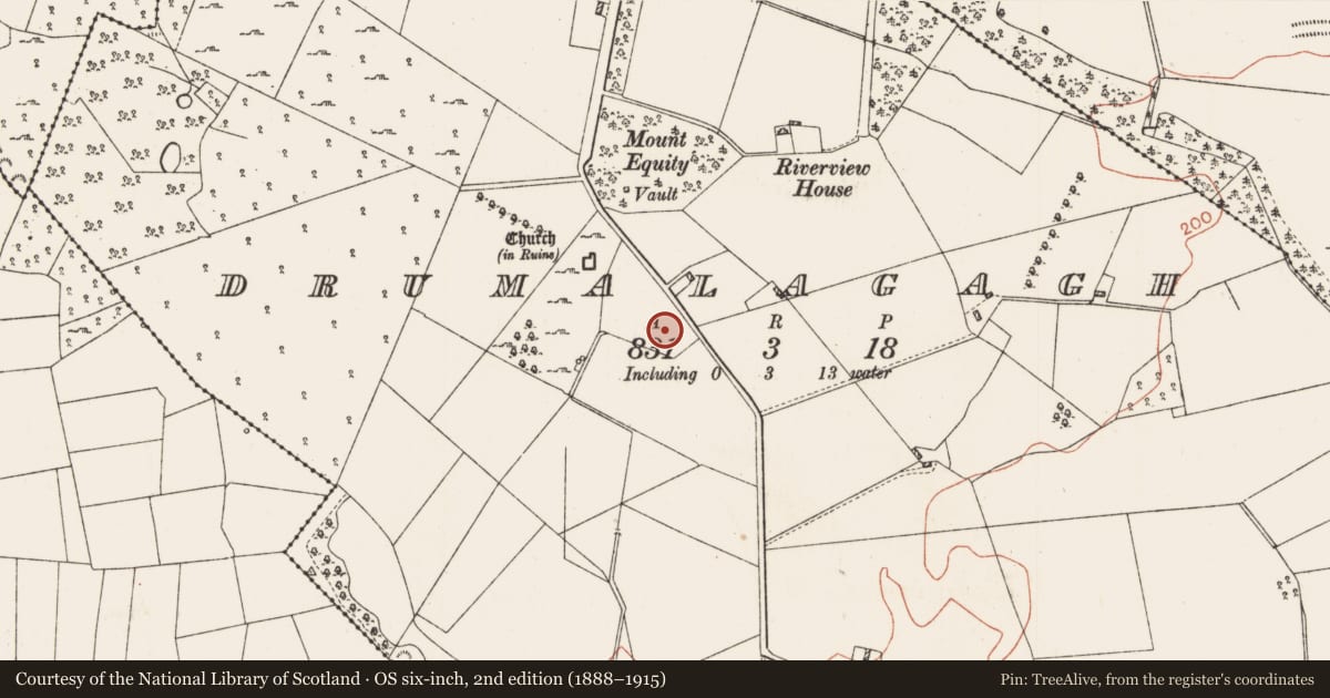 Ordnance Survey six-inch map, 2nd edition (1888–1915) covering the location of Sweathouse, Drumalagagh, County Roscommon, with a pin at the register's coordinates