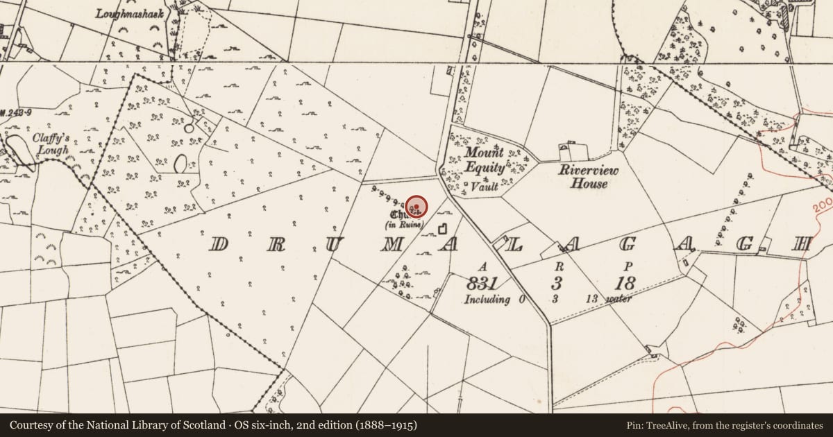 Ordnance Survey six-inch map, 2nd edition (1888–1915) covering the location of Field system, Drumalagagh, County Roscommon, with a pin at the register's coordinates