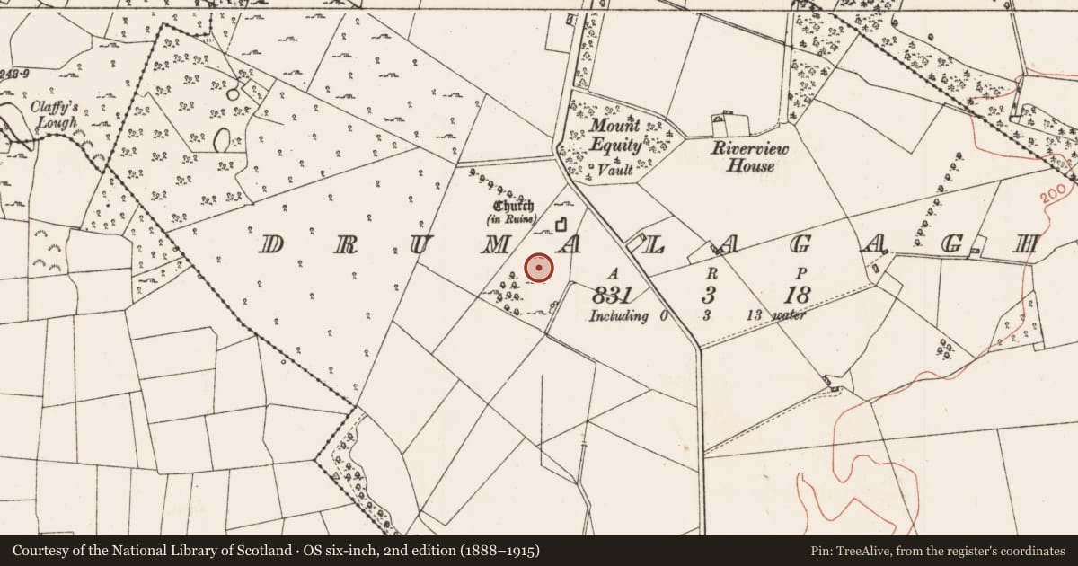 Ordnance Survey six-inch map, 2nd edition (1888–1915) covering the location of Bullaun stone, Drumalagagh, County Roscommon, with a pin at the register's coordinates