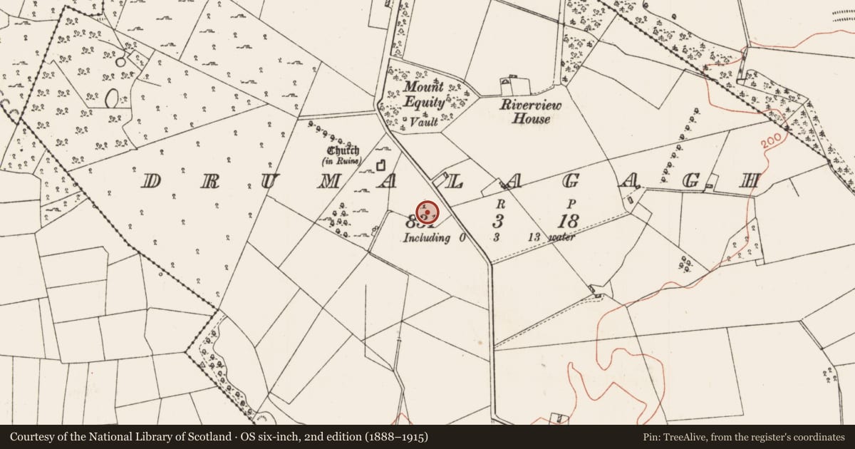 Ordnance Survey six-inch map, 2nd edition (1888–1915) covering the location of House - indeterminate date, Drumalagagh, County Roscommon, with a pin at the register's coordinates