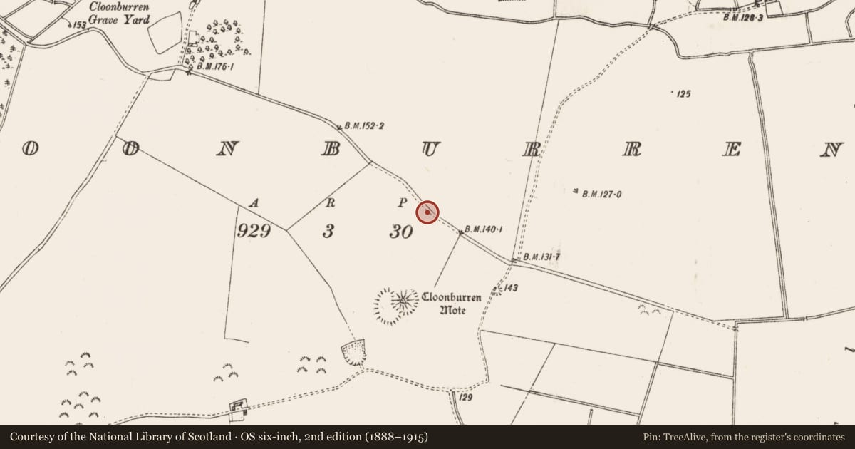 Ordnance Survey six-inch map, 2nd edition (1888–1915) covering the location of Road - road/trackway, Faltia, Cloonburren, County Roscommon, with a pin at the register's coordinates