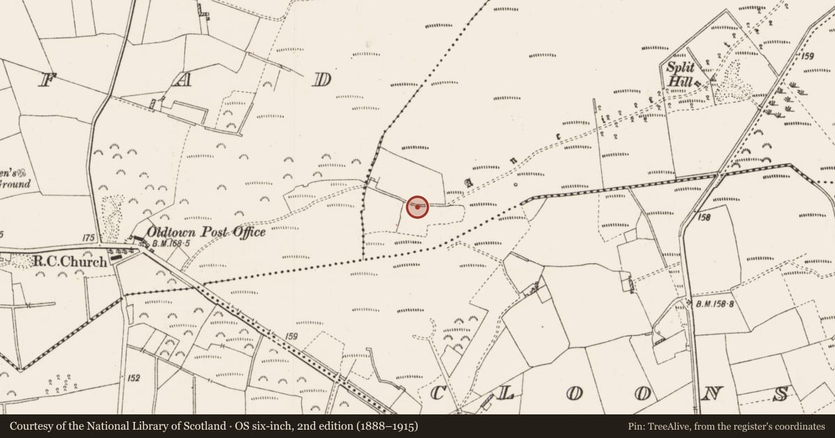Ordnance Survey six-inch map, 2nd edition (1888–1915) covering the location of Road - road/trackway, County Roscommon, with a pin at the register's coordinates