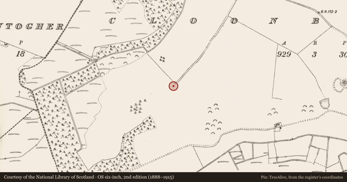 Ordnance Survey six-inch map, 2nd edition (1888–1915) covering the location of Road - road/trackway, Cloonburren, County Roscommon, with a pin at the register's coordinates