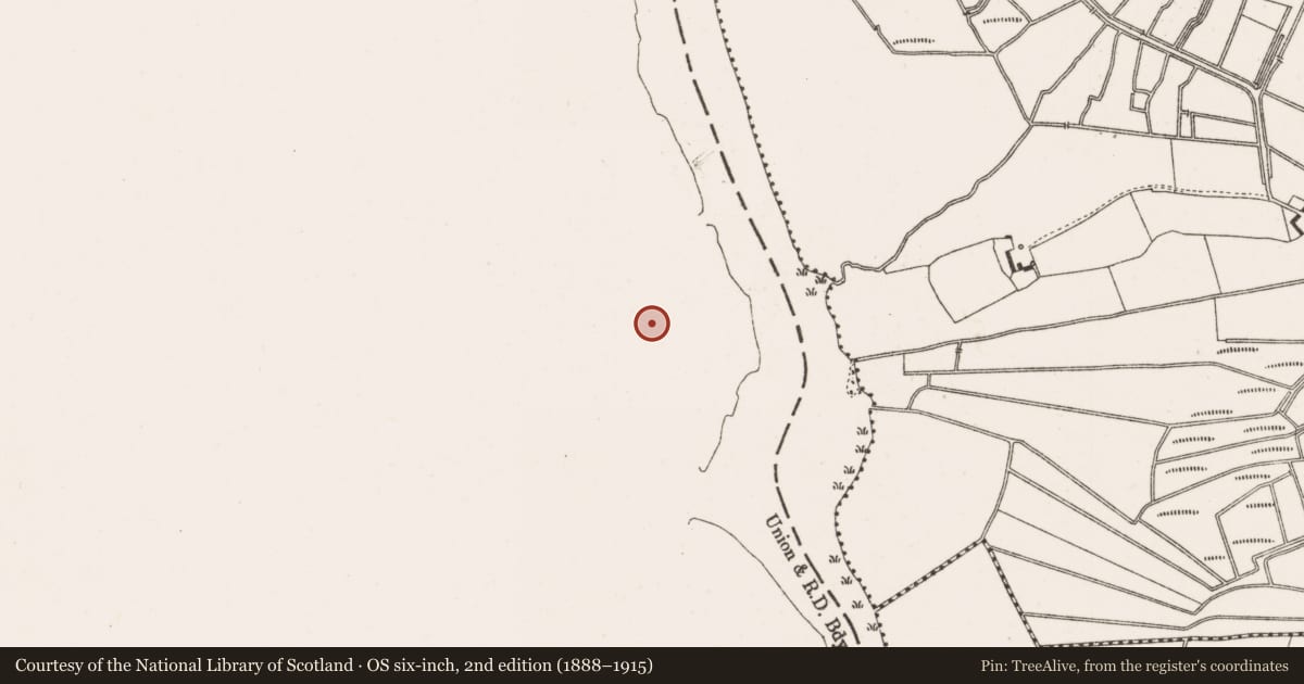 Ordnance Survey six-inch map, 2nd edition (1888–1915) covering the location of Graveslab, Cloonburren, County Roscommon, with a pin at the register's coordinates