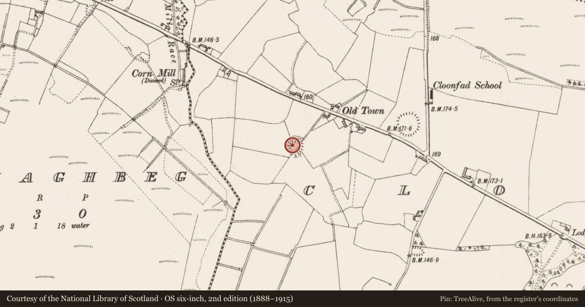 Ordnance Survey six-inch map, 2nd edition (1888–1915) covering the location of Children's burial ground, Cloonfad, County Roscommon, with a pin at the register's coordinates