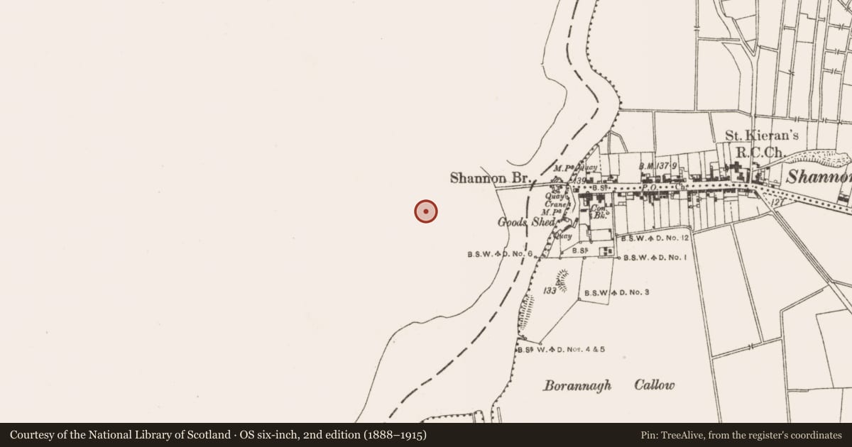 Ordnance Survey six-inch map, 2nd edition (1888–1915) covering the location of Battery, Raghrabeg, County Roscommon, with a pin at the register's coordinates