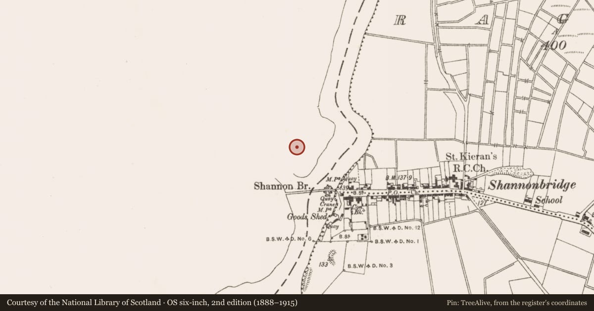 Ordnance Survey six-inch map, 2nd edition (1888–1915) covering the location of Battery, Lamb Island, County Roscommon, with a pin at the register's coordinates