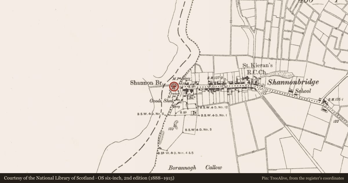Ordnance Survey six-inch map, 2nd edition (1888–1915) covering the location of Bridge, Raghrabeg, County Roscommon, with a pin at the register's coordinates