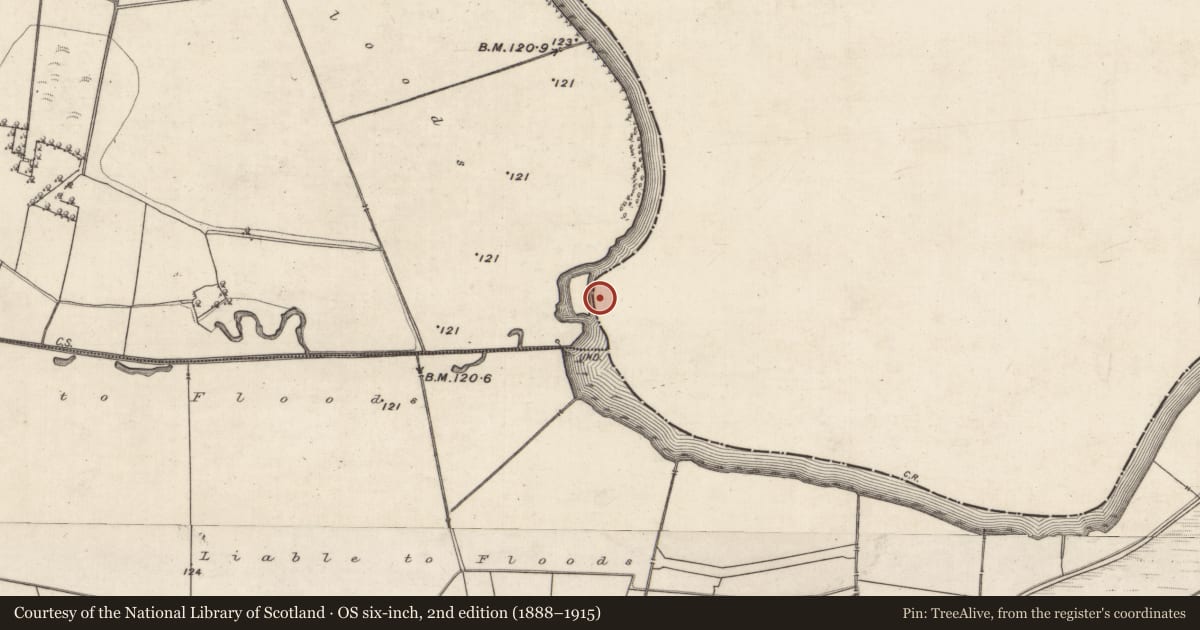 Ordnance Survey six-inch map, 2nd edition (1888–1915) covering the location of Ford, Correenbeg, County Roscommon, with a pin at the register's coordinates