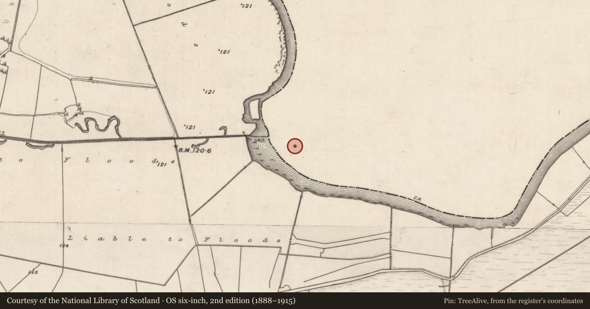 Ordnance Survey six-inch map, 2nd edition (1888–1915) covering the location of Earthwork, Correenbeg, County Roscommon, with a pin at the register's coordinates