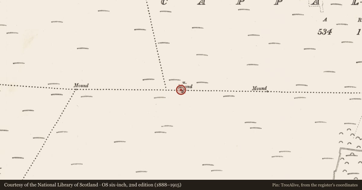 Ordnance Survey six-inch map, 2nd edition (1888–1915) covering the location of Boundary mound, Cappaleitrim, Raghrabeg, County Roscommon, with a pin at the register's coordinates