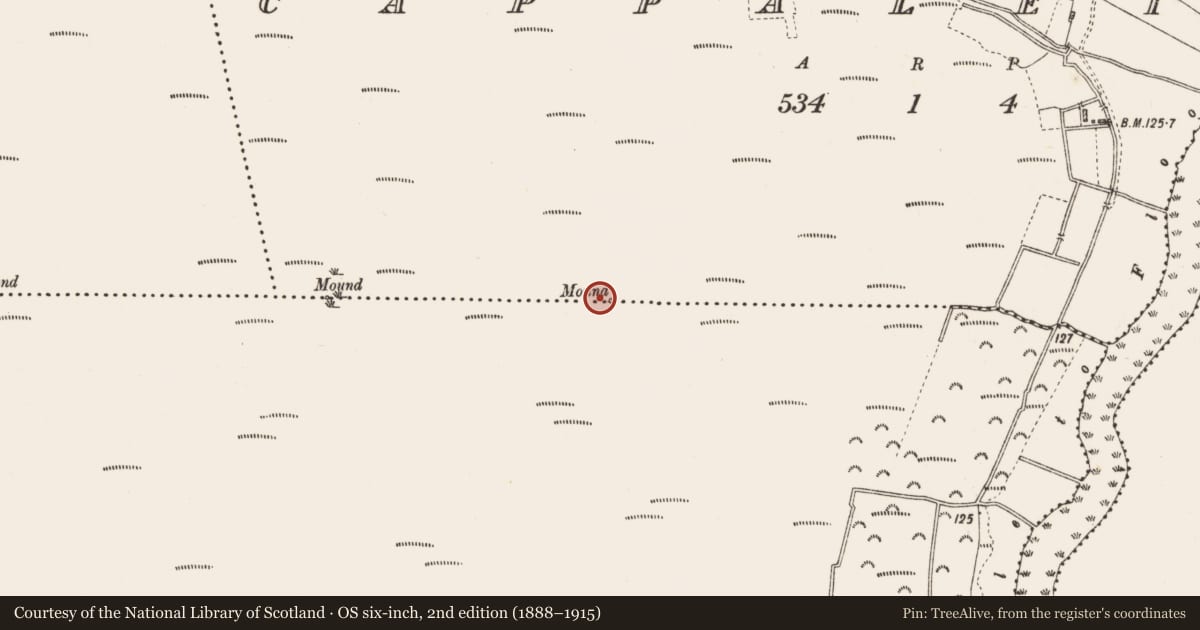 Ordnance Survey six-inch map, 2nd edition (1888–1915) covering the location of Boundary mound, Cappaleitrim, Raghrabeg, County Roscommon, with a pin at the register's coordinates
