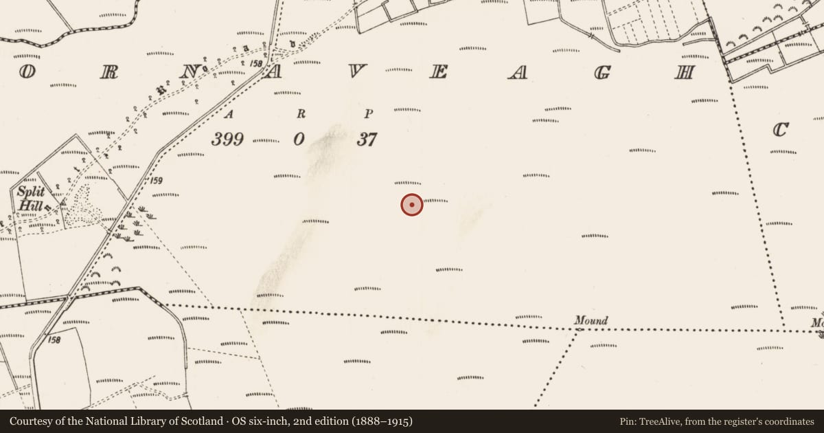 Ordnance Survey six-inch map, 2nd edition (1888–1915) covering the location of Road - unclassified togher, Cornaveagh, County Roscommon, with a pin at the register's coordinates
