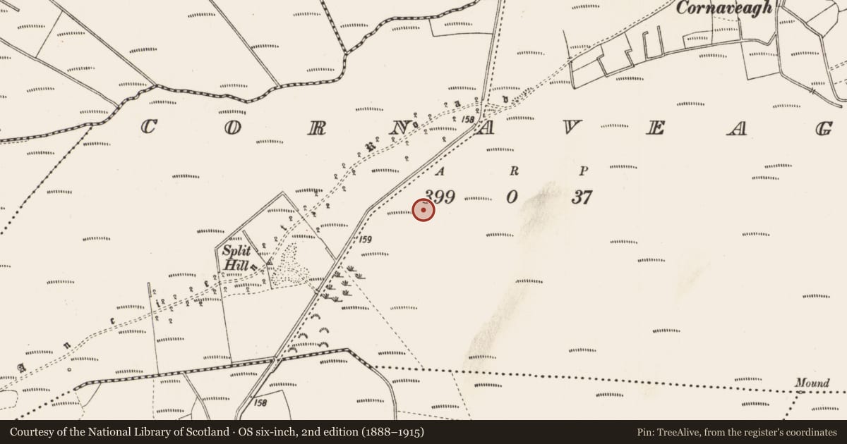 Ordnance Survey six-inch map, 2nd edition (1888–1915) covering the location of Road - gravel/stone trackway - peatland, Cornaveagh, County Roscommon, with a pin at the register's coordinates