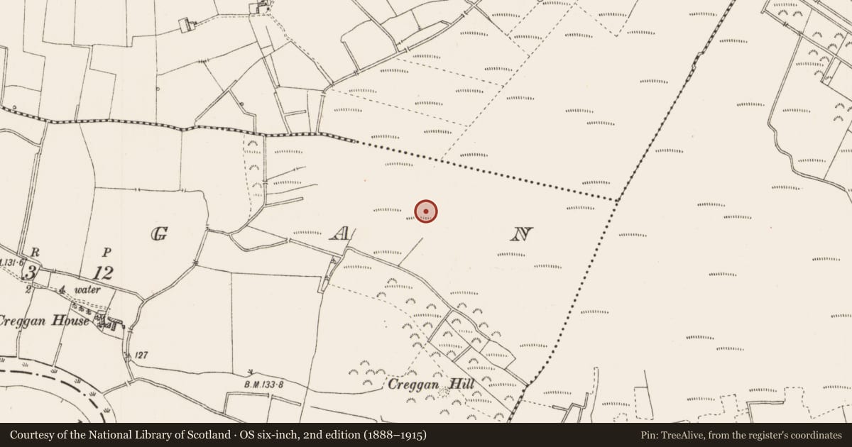 Ordnance Survey six-inch map, 2nd edition (1888–1915) covering the location of Structure - peatland, Creggan, County Roscommon, with a pin at the register's coordinates