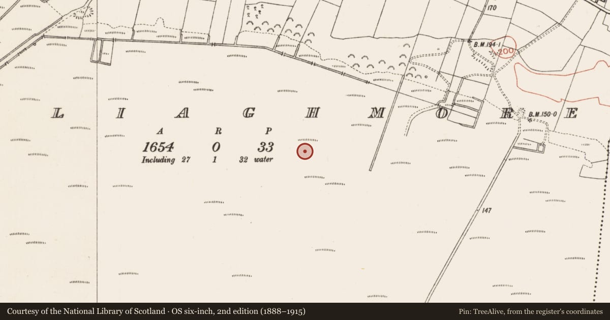 Ordnance Survey six-inch map, 2nd edition (1888–1915) covering the location of Road - gravel/stone trackway - peatland, Culliaghmore, County Roscommon, with a pin at the register's coordinates