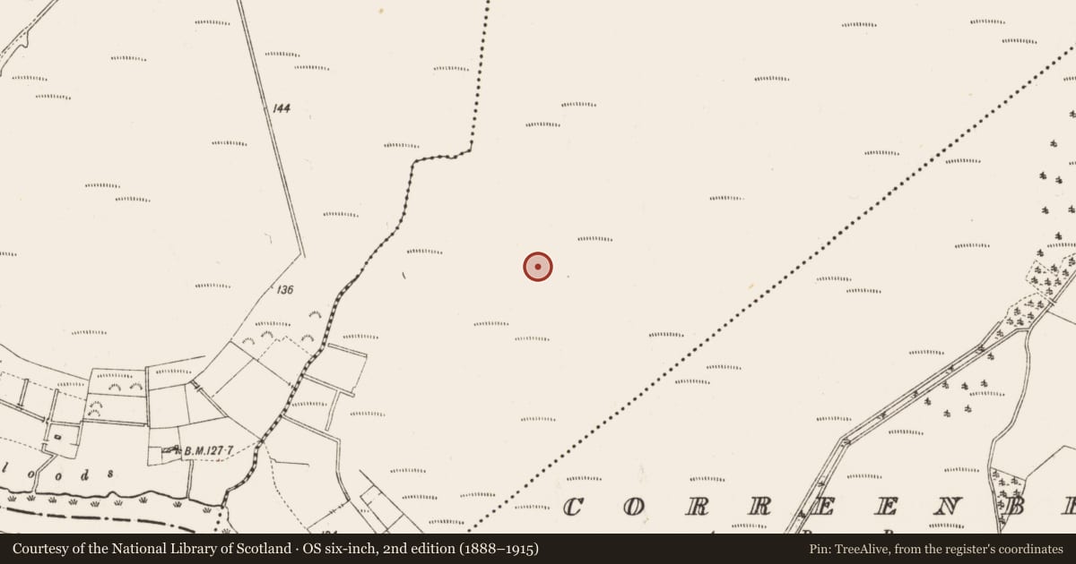 Ordnance Survey six-inch map, 2nd edition (1888–1915) covering the location of Structure - peatland, Culliaghbeg, County Roscommon, with a pin at the register's coordinates