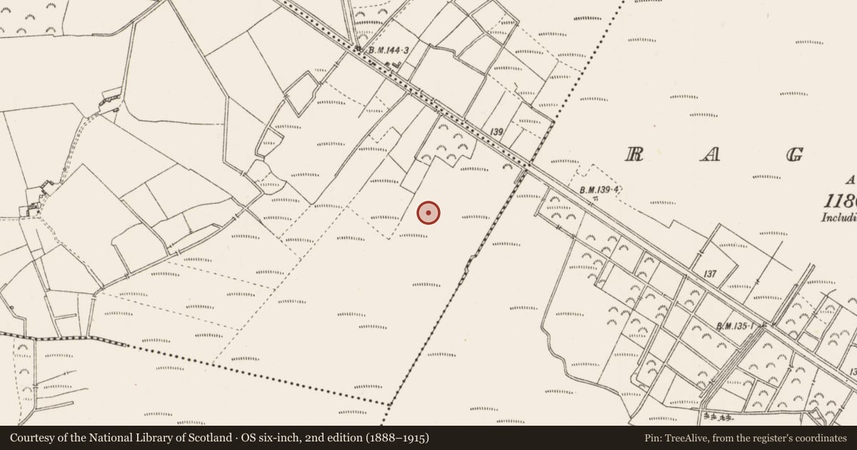 Ordnance Survey six-inch map, 2nd edition (1888–1915) covering the location of Road - unclassified togher, Clooneish, County Roscommon, with a pin at the register's coordinates