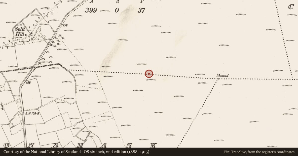 Ordnance Survey six-inch map, 2nd edition (1888–1915) covering the location of Road - unclassified togher, Cornaveagh, County Roscommon, with a pin at the register's coordinates