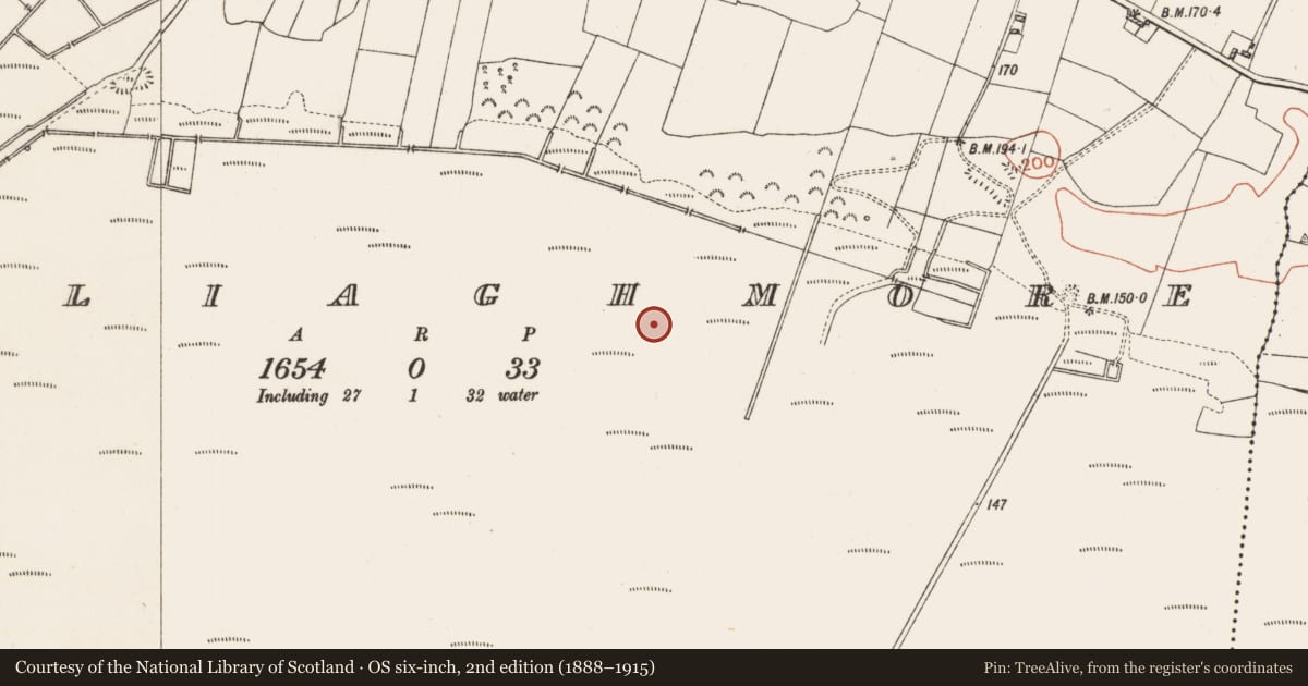 Ordnance Survey six-inch map, 2nd edition (1888–1915) covering the location of Road - unclassified togher, Culliaghmore, County Roscommon, with a pin at the register's coordinates
