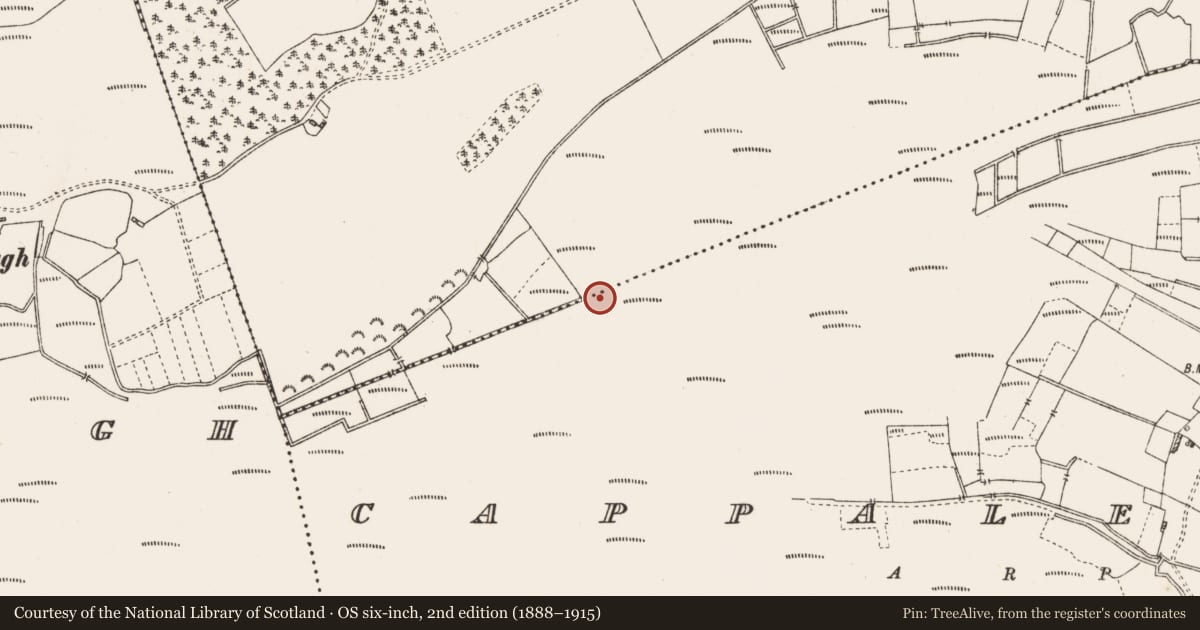 Ordnance Survey six-inch map, 2nd edition (1888–1915) covering the location of Burial, Cappaleitrim, Cloonburren, County Roscommon, with a pin at the register's coordinates