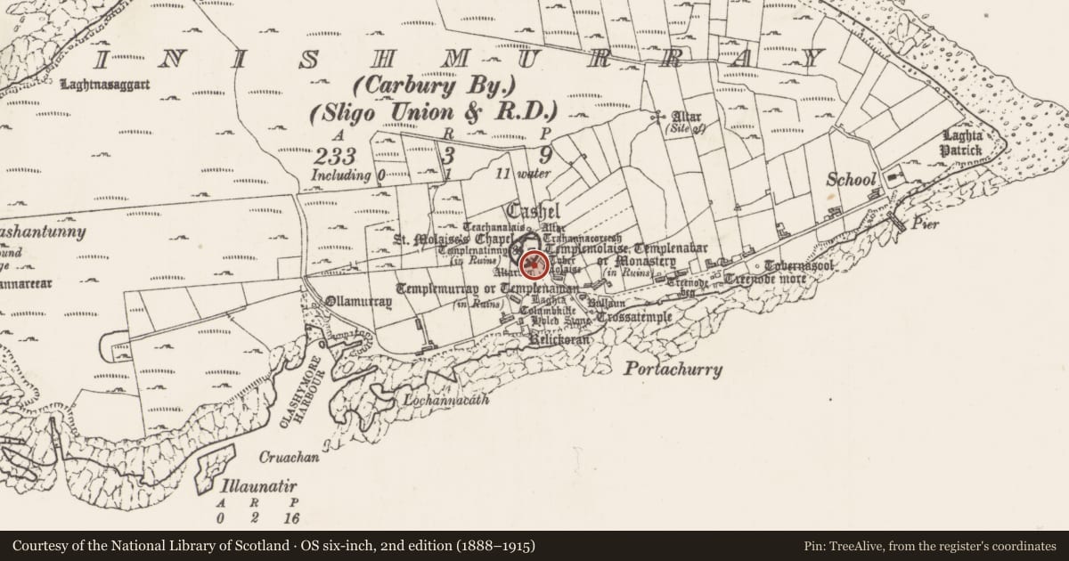 Ordnance Survey six-inch map, 2nd edition (1888–1915) covering the location of Stone trough, Inishmurray, County Sligo, with a pin at the register's coordinates
