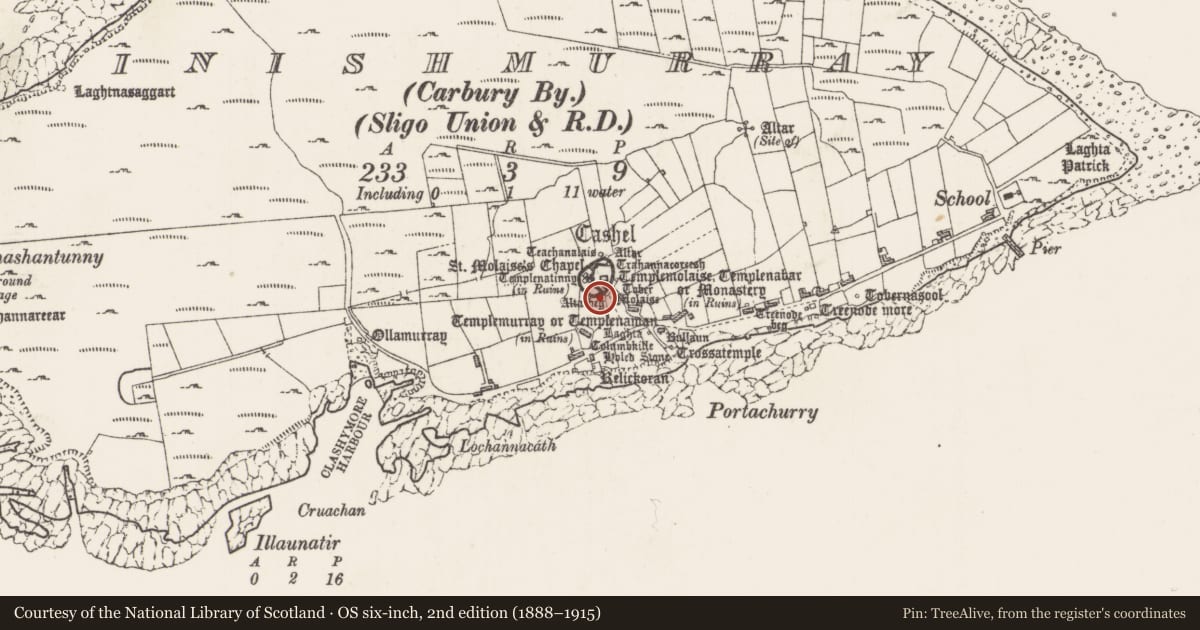Ordnance Survey six-inch map, 2nd edition (1888–1915) covering the location of Pillar stone, Inishmurray, County Sligo, with a pin at the register's coordinates