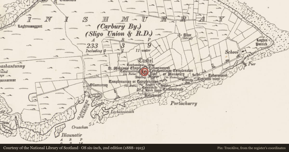 Ordnance Survey six-inch map, 2nd edition (1888–1915) covering the location of Inscribed slab, Inishmurray, County Sligo, with a pin at the register's coordinates