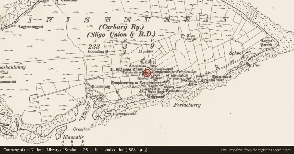 Ordnance Survey six-inch map, 2nd edition (1888–1915) covering the location of Bullaun stone, Inishmurray, County Sligo, with a pin at the register's coordinates