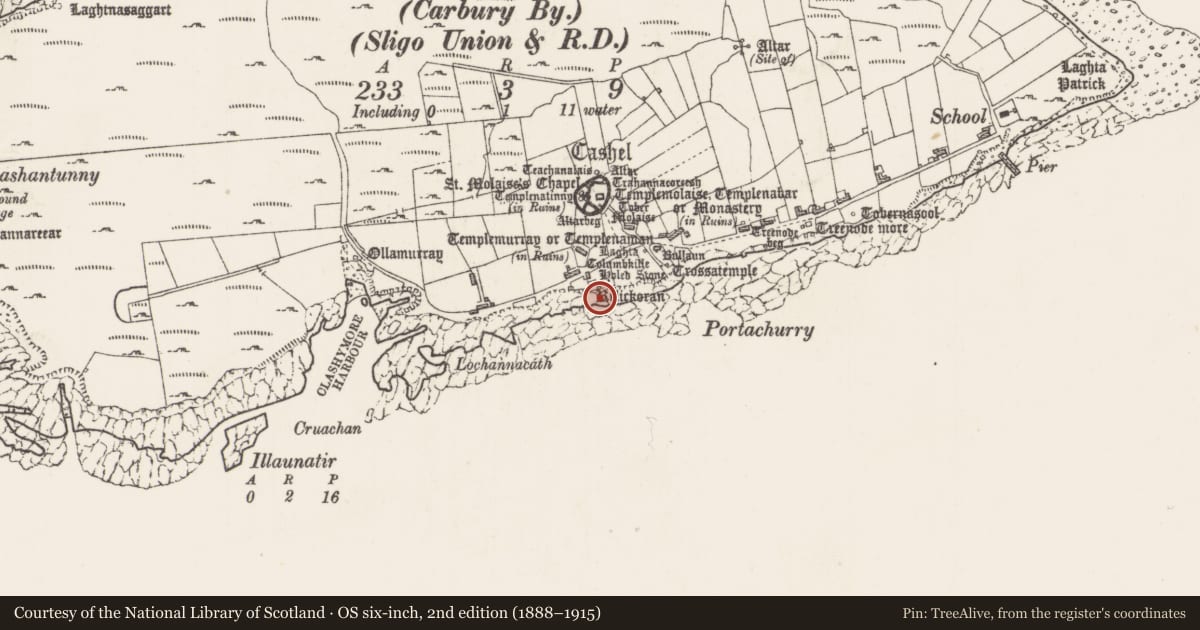 Ordnance Survey six-inch map, 2nd edition (1888–1915) covering the location of Burial ground, Inishmurray, County Sligo, with a pin at the register's coordinates