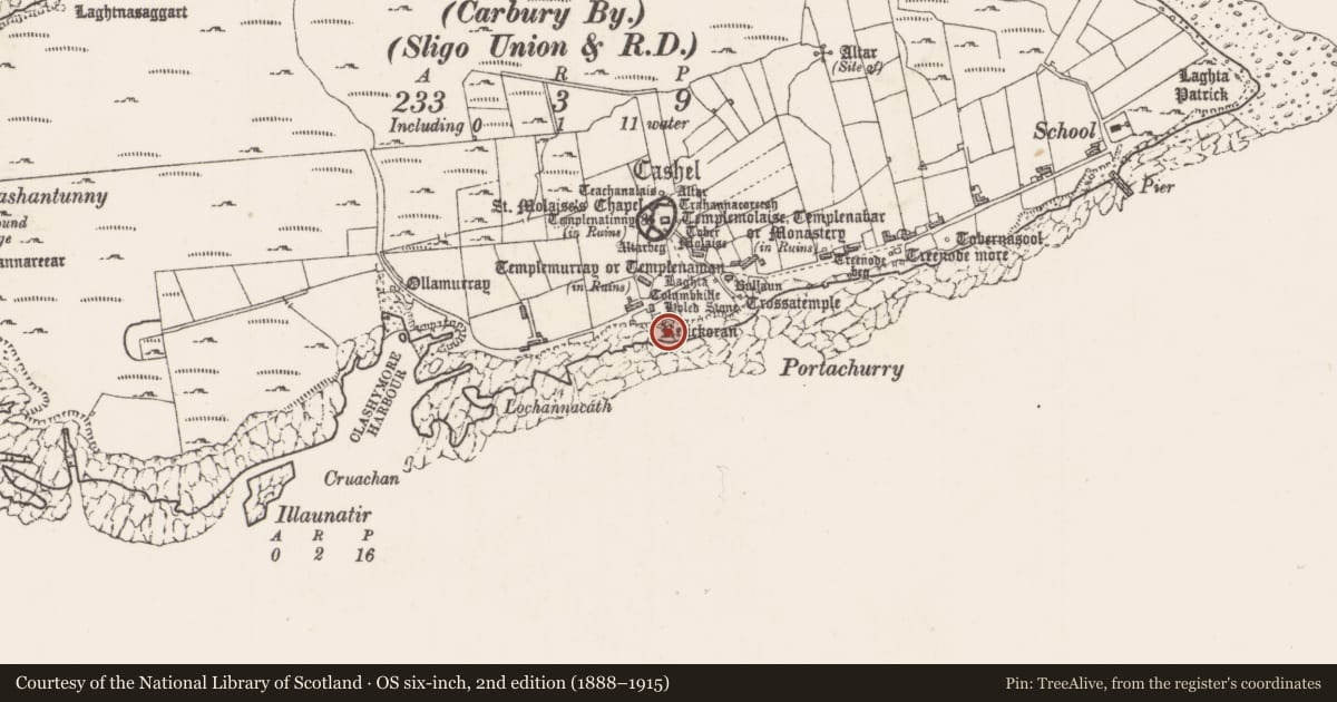 Ordnance Survey six-inch map, 2nd edition (1888–1915) covering the location of Enclosure, Inishmurray, County Sligo, with a pin at the register's coordinates