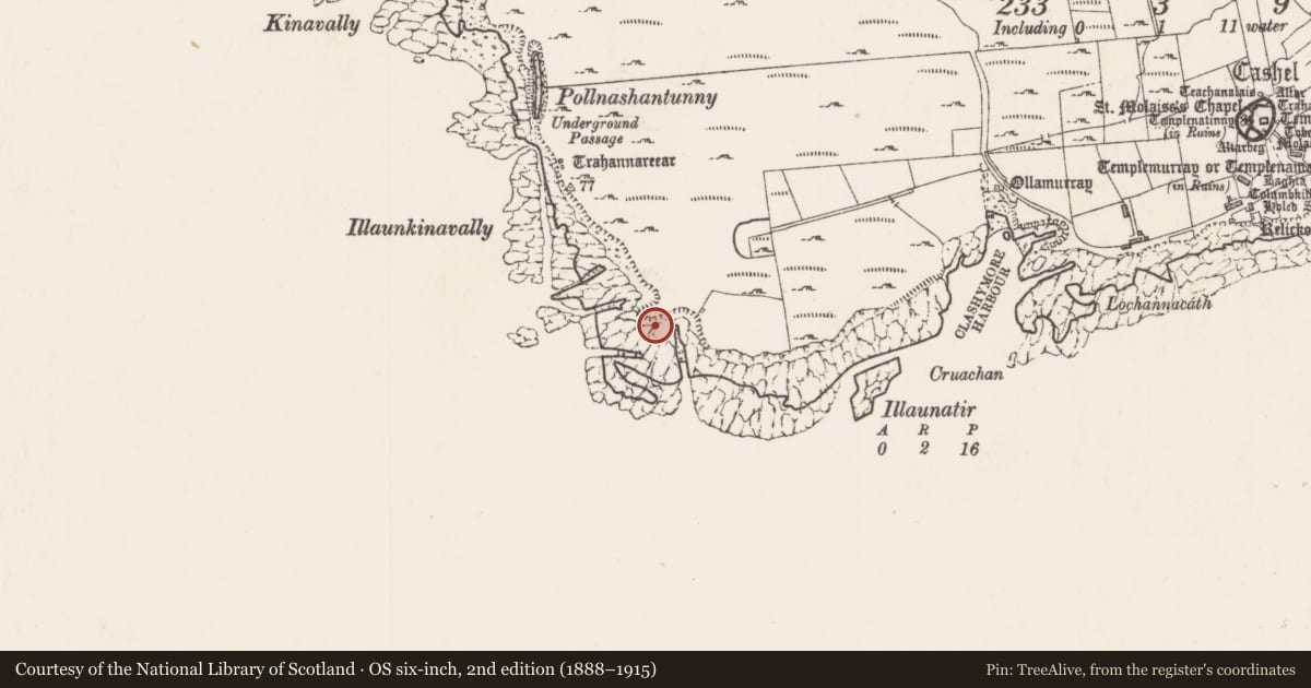 Ordnance Survey six-inch map, 2nd edition (1888–1915) covering the location of Promontory fort - coastal, Inishmurray, County Sligo, with a pin at the register's coordinates