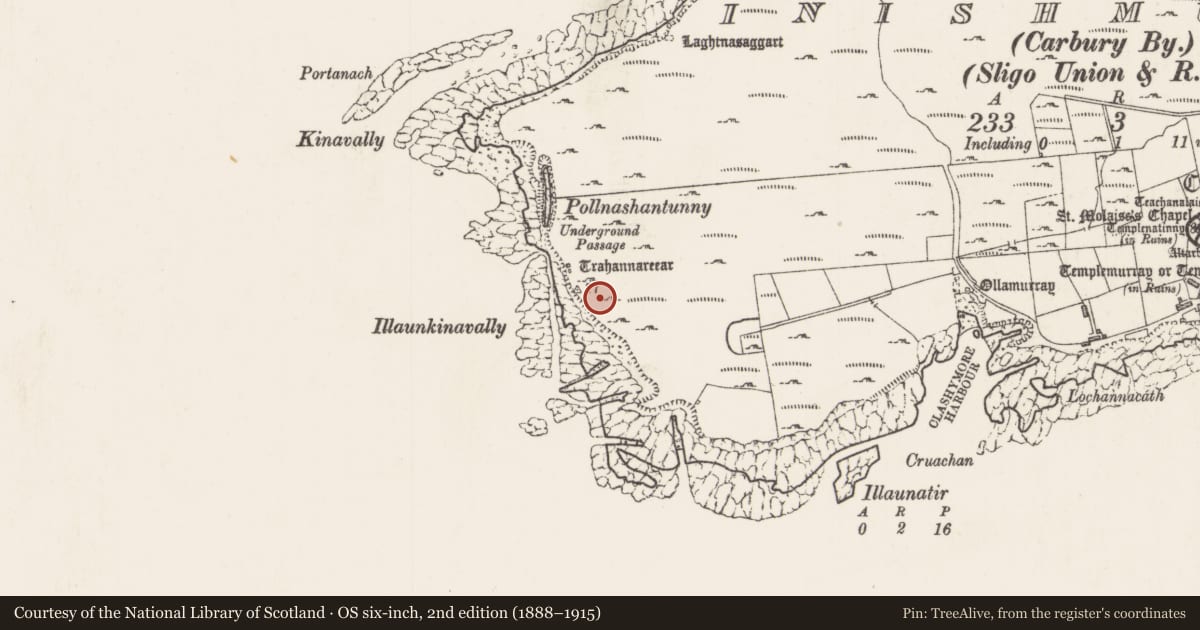 Ordnance Survey six-inch map, 2nd edition (1888–1915) covering the location of Hermitage, Inishmurray, County Sligo, with a pin at the register's coordinates